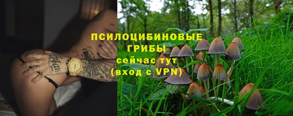 шишки Бугульма