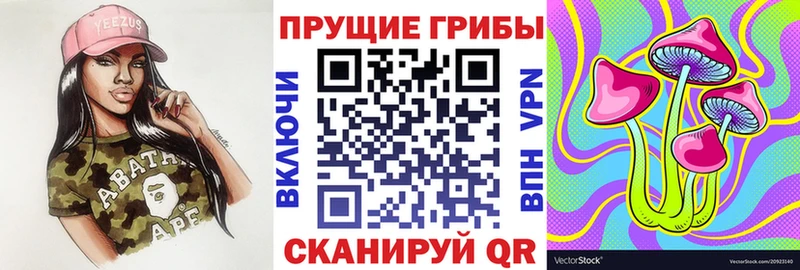 Галлюциногенные грибы MAGIC MUSHROOMS  как найти наркотики  Сосногорск 
