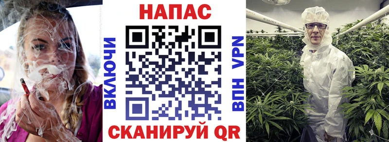 как найти наркотики  Сосногорск  Шишки марихуана тримм 
